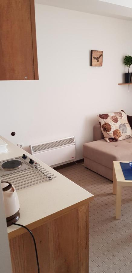 Dobricin Konak, Apartman 202 Kopaonik Exterior foto